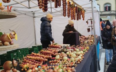 Berner Zibelemärit (Onion Market) 2023
